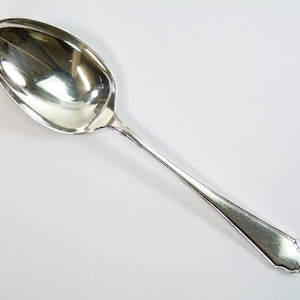 May include: A silver spoon with a rounded bowl and a simple, elegant design. The spoon has a slightly curved handle with a rounded end.