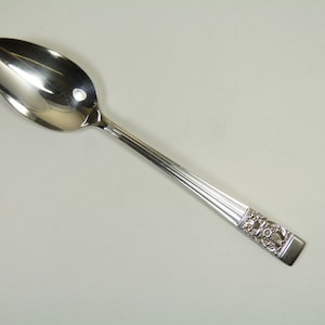 May include: A silver teaspoon with a decorative handle. The handle features a floral design and a raised edge.