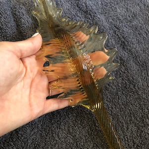 Leaves, spare parts or replacements for chandeliers by Venini, Mazzega, Carlo Scarpa, amber color