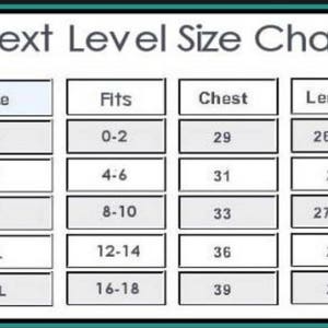 May include: A size chart labeled "Next Level Size Chart" with size, fit, chest, and length measurements. Sizes range from S to 2XL, with chest measurements from 29 to 39 inches and lengths from 26 1/2 to 29 inches.