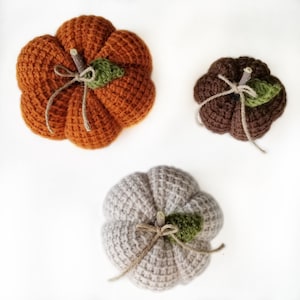 TUNISIAN CROCHET, with a CROCHET hook! - The Cottage Pumpkin Pattern