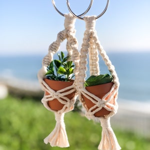 Op de afbeelding: Twee kleine terracotta potten met groene planten hangen aan een macrame plantenhanger met witte kwastjes. De hanger is bevestigd aan twee zilveren ringen.