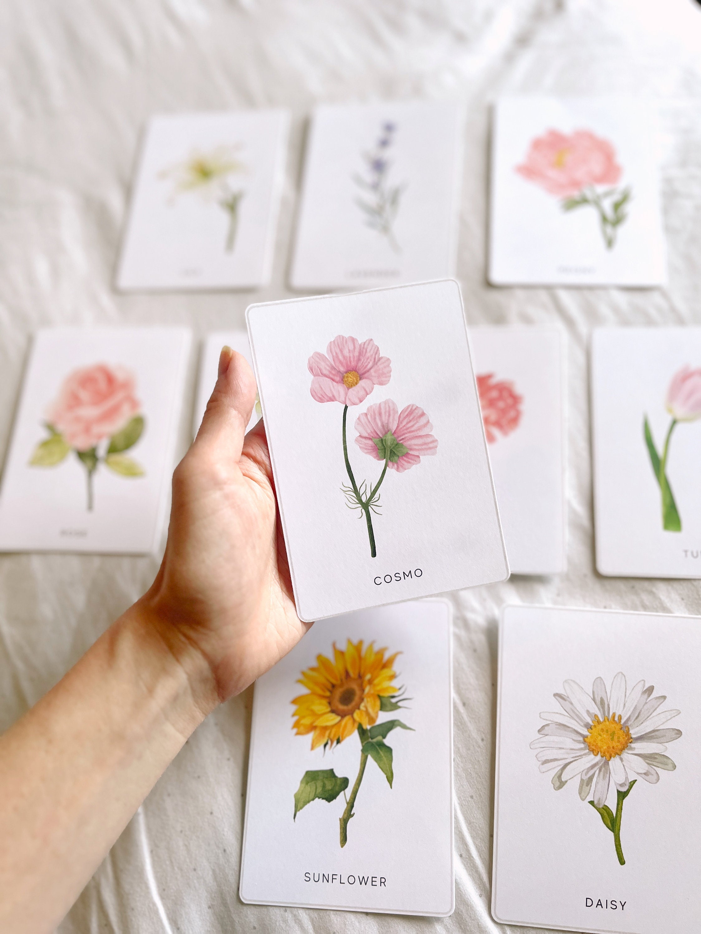 Printable Flower Botany Cards | Montessori Cards, Homeschool Resources ...