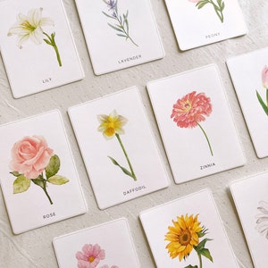 Druckbare Blumen Botanik Karten | Montessori Karten, Homeschool Ressourcen, Garten Einheit, Lernmaterialien für Kleinkinder