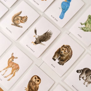 Cartões imprimíveis de animais da floresta | Cartões de harmonização Toobs, cartões flash Montessori, cartões pré-escolares | DOWNLOAD INSTANTÂNEO