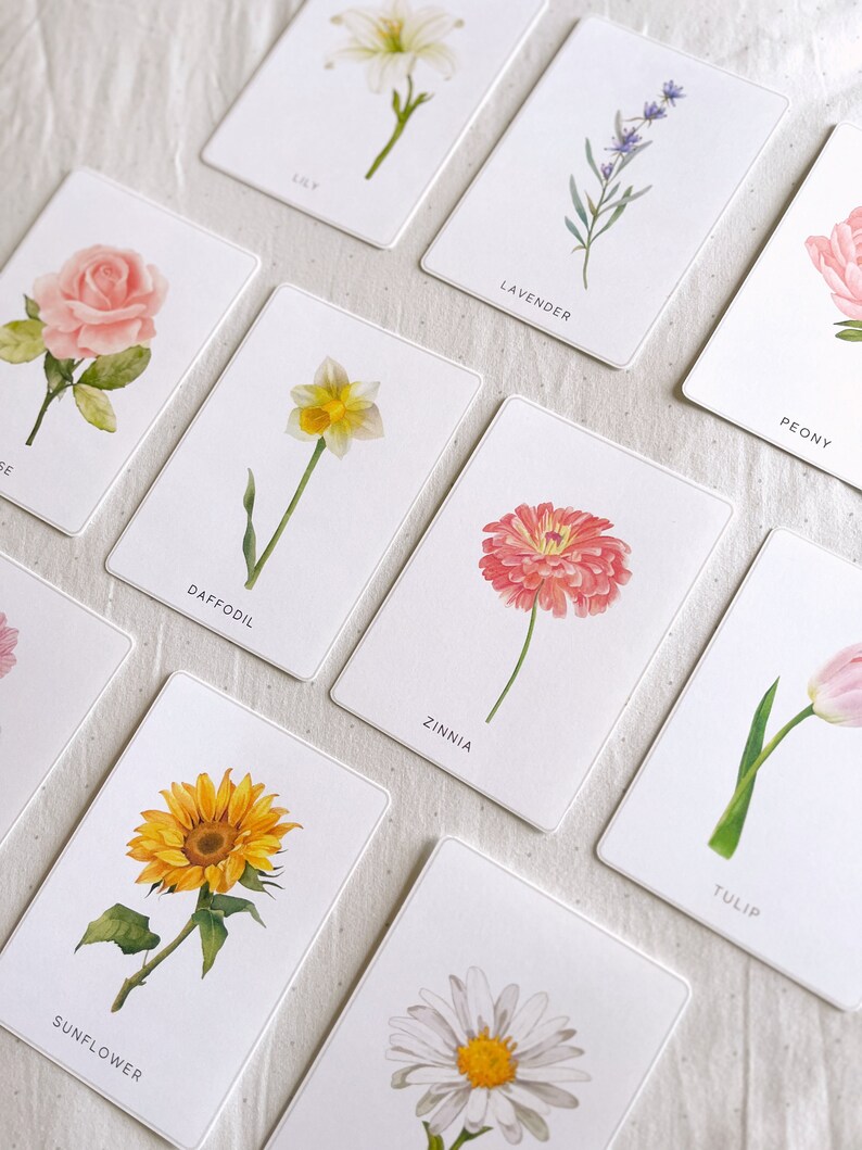 Printable Flower Botany Cards Montessori Cards Homeschool Etsy