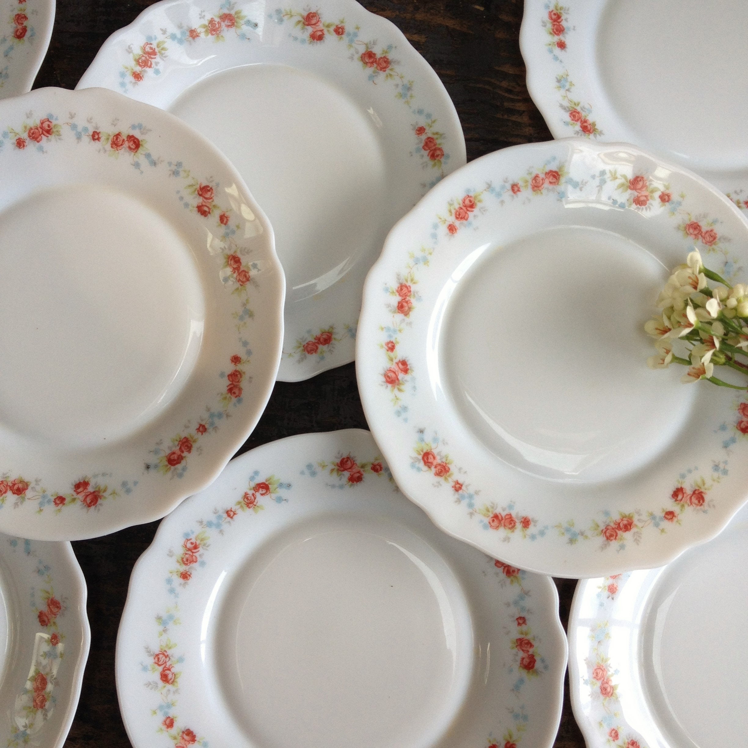 10 Assiettes à Dessert en Opaline Blanche Arcopal Décor de Roses. Assiettes Vintage Français Années 