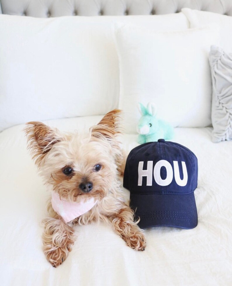 HOU HAT City Codes Airport Code I Love My City Houston Etsy