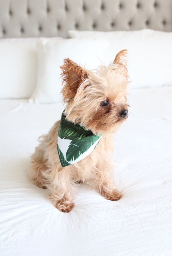Pet Accessory Ready to Ship Over the Collar Bandana Summer Bandana Camper Dog Bandana