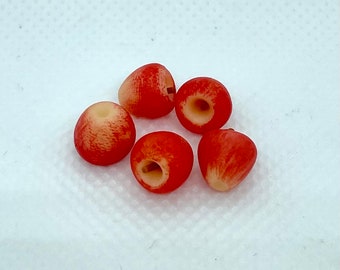 1:12 Miniature Apples