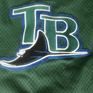 May include: A dark green mesh fabric featuring an embroidered patch of the letters TB in dark green with a white outline. Below the letters is a black stingray silhouette with a white outline, all bordered by a blue stitched edge.