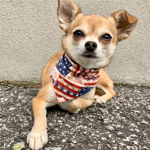 Foulard pour chien et chat réversible, foulard sur collier, grandeurs TRÈS PETIT/PETIT, motifs drapeau usa et étoiles, bleu, blanc, rouge