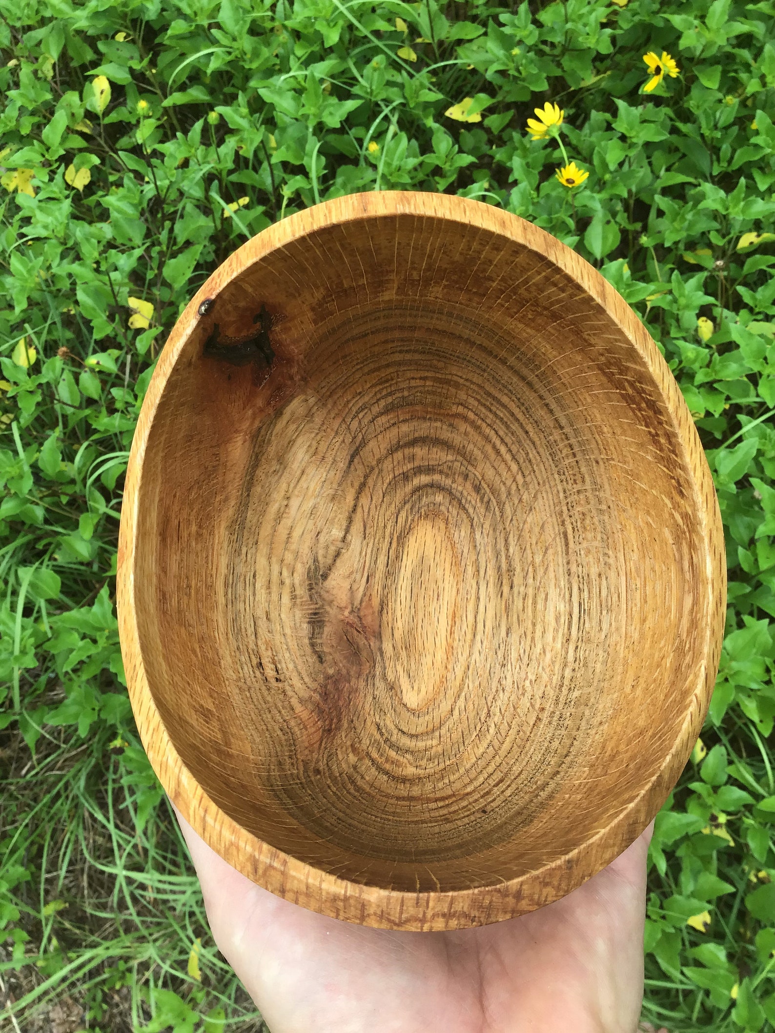 Small Live Edge Live Oak Bowl with Bark Inclusion Etsy