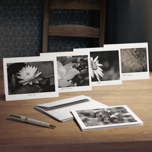 Biglietti di auguri multi-design (confezione da 5) - Fiori in bianco e nero