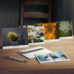 Biglietti di auguri multi-design (confezione da 5) - Fiori vari