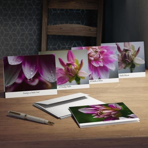 Biglietti di auguri multi-design (confezione da 5) - Fiore di dalia