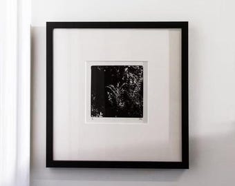 Svartvitt botaniskt konsttryck, 8x10, mörkrumsfotografi med silvergelatin