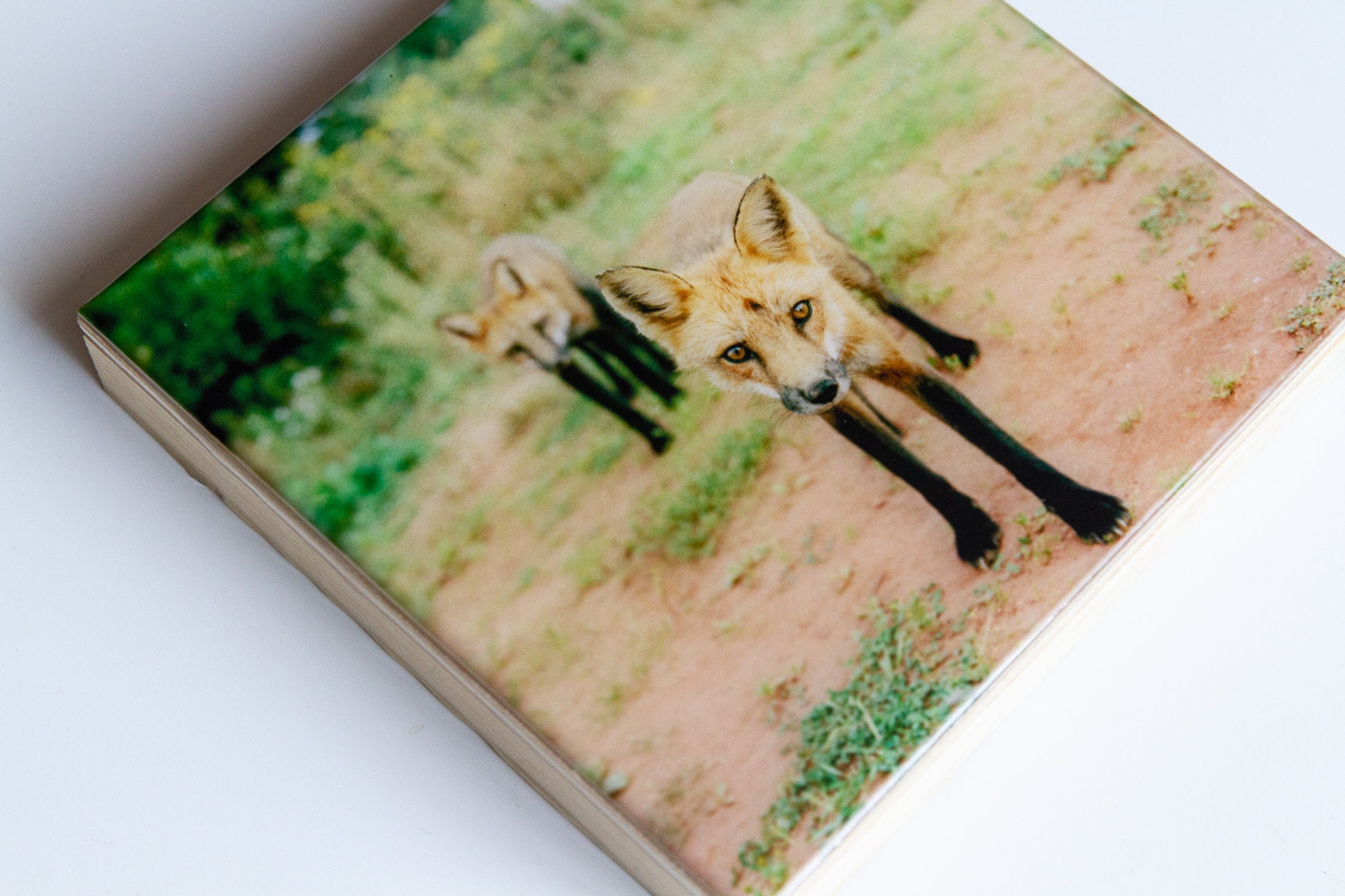 Edward Art Products - Etsy