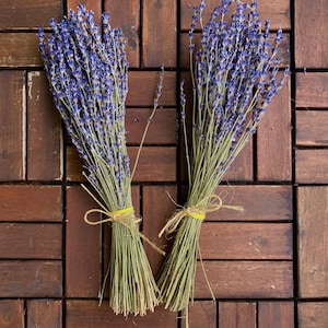 Dried Fragrant Lavender Bunch