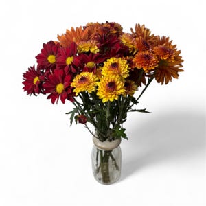 May include: A bouquet of colorful chrysanthemums in a clear glass vase. The flowers are a mix of red, yellow, and orange hues, with green stems and leaves. The vase has a wide mouth and a light-colored rim, set against a white background.
