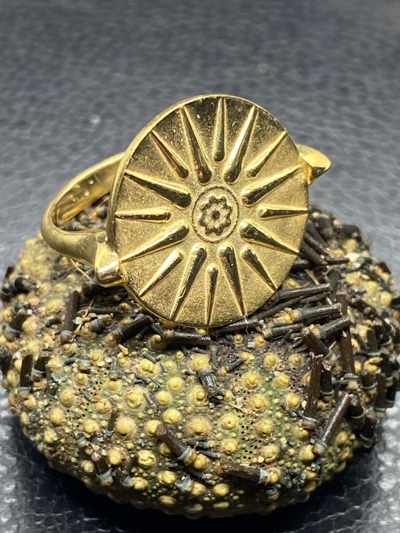 Macedonian Star Ring Vergina  Sun coin ring Alexander the image 3
