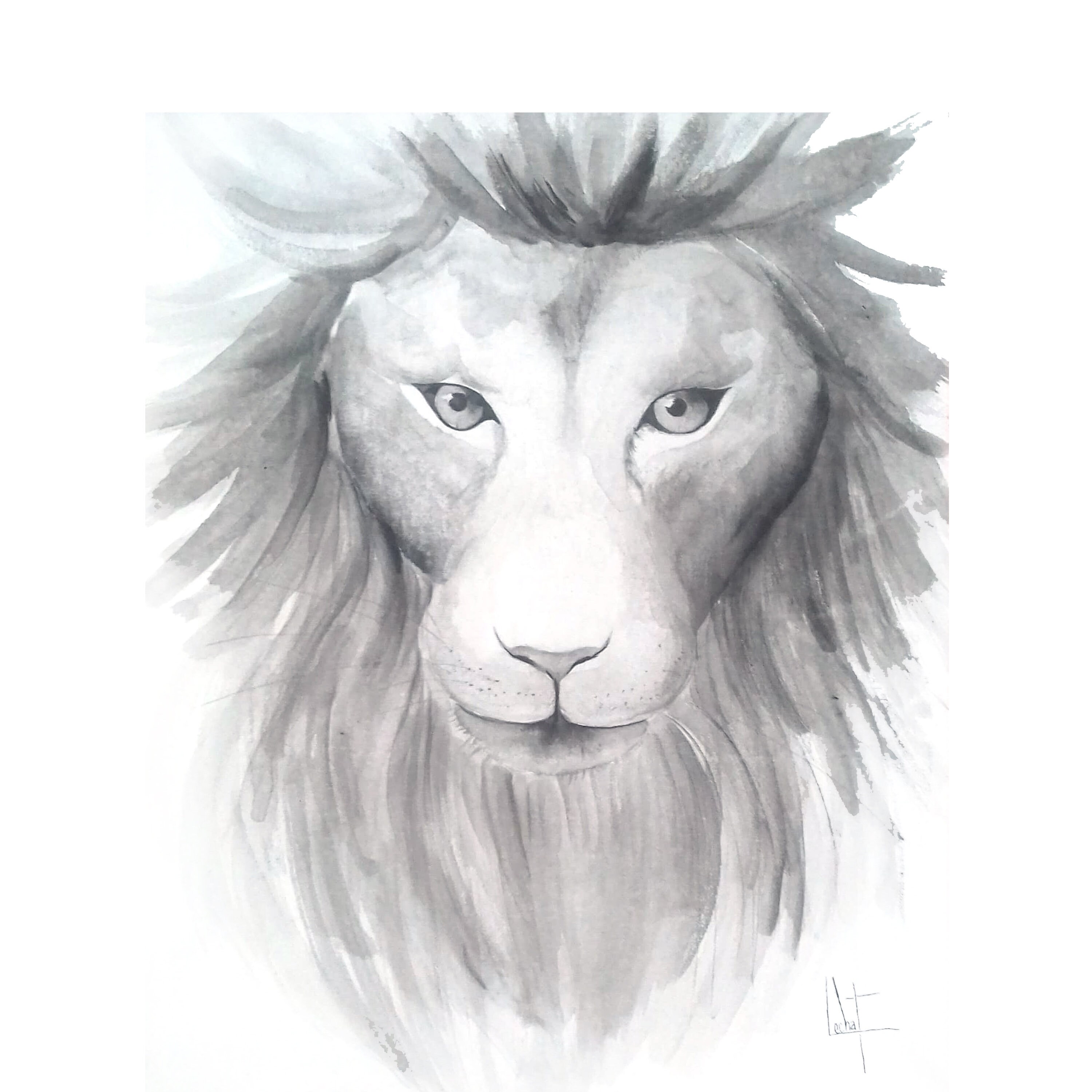 Tête de Lion
