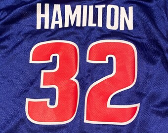 rip hamilton jersey