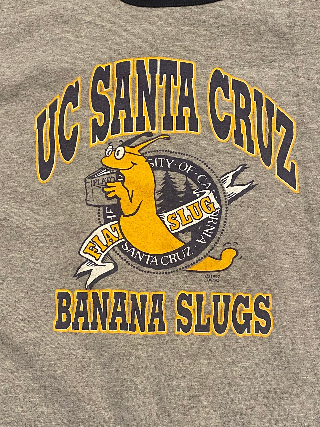 Banana Slugs バナナスラッグス Tシャツ 90s PCゲーム growthcenter