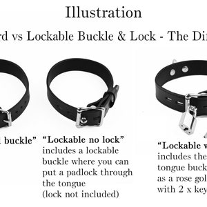 May include: An illustration showing three black leather collars. The first has a standard buckle. The second is a lockable buckle without a lock. The third is a lockable buckle with a padlock and two keys. Text labels describe the differences between the three buckle types.
