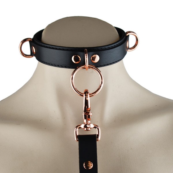 Boundless Collar and Leash main image 0