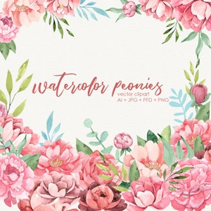 Peonies clipart Vector peony clip art for commercial use OK watercolor flowers digital graphics