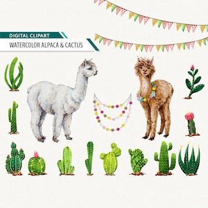 Alpaca clipart Watercolor alpaca Llama clip art lama clipart