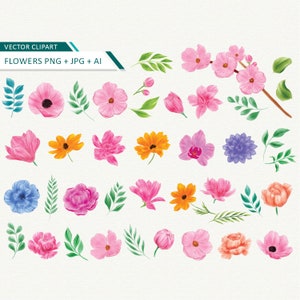 Clipart de flores em aquarela Vetor floral clip art flores em aquarela download instantâneo uso comercial ok