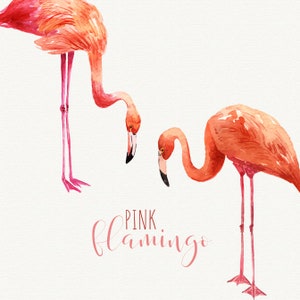 Flamingo clipart Pink flamingo Watercolor flamingo clipart flamingo printable Instant download commercial use OK image 3