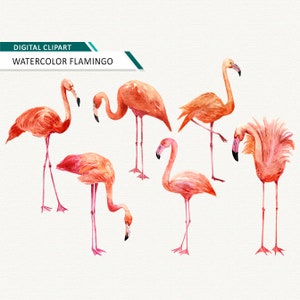 Flamingo clipart Pink flamingo Watercolor flamingo clipart flamingo printable Instant download commercial use OK image 1