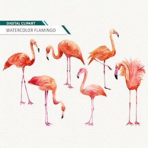Flamingo clipart Pink flamingo Watercolor flamingo clipart flamingo printable Instant download commercial use OK