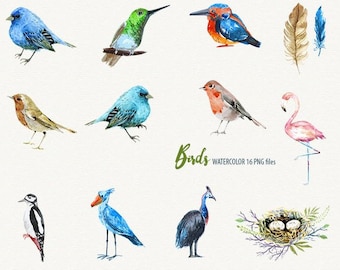 Watercolor birds clipart, bird printable, feather clipart, watercolor commercial use ok