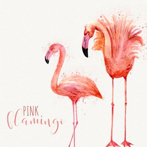Flamingo clipart Pink flamingo Watercolor flamingo clipart flamingo printable Instant download commercial use OK image 2