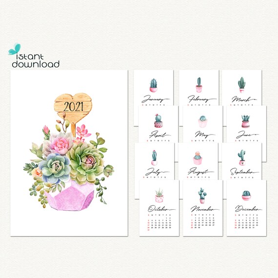 Succulent Calendar Background May 2021 Download | Calendar Nov 2021 Succulent Calendar Background May 2021 Download | Calendar Nov 2021