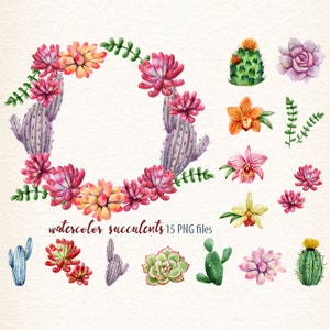 Cactus ClipArt Succulent Clipart Aquarela Suculentas Floral Clipart Floral guirlanda aquarela Orquídea CU OK