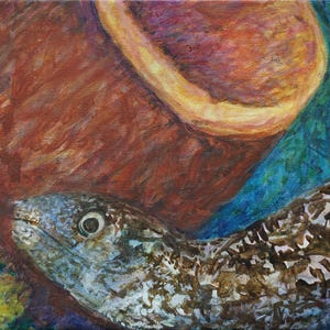 Spotted Moray Eel