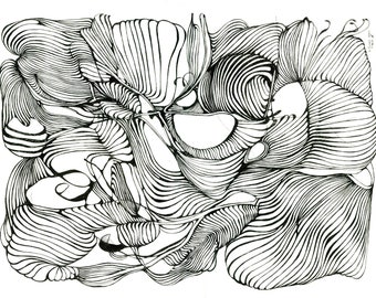 Linien Phänomen X, Original , Serpentin ,Netz, Seetang, handmade art, Federzeichnung ,Zeichnung mit Tusche und Feder, Fäden, Saiten , Panda