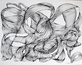 Linien Phänomen IV, Original , Netz, Seetang, handmade art, Federzeichnung ,Zeichnung mit Tusche und Feder