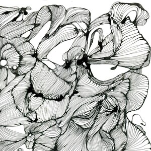 Op de afbeelding: Zwart-witte abstracte lijntekening van draaiende, organische vormen. De lijnen zijn dun en delicaat en creëren een gevoel van beweging en stroming.