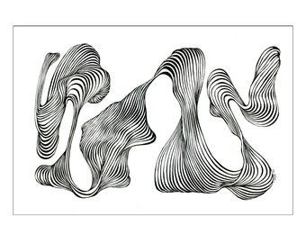 Linien Phänomen XIX, Original , Netz, Seetang, handmade art, Federzeichnung ,Zeichnung mit Tusche und Feder, A3