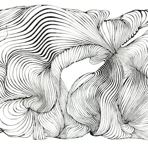 Könnte beinhalten: Abstrakte Schwarz-Weiß-Kunst mit fließenden, geschwungenen Linien. Die Linien erzeugen ein Gefühl von Bewegung und Tiefe mit unterschiedlichen Stärken und Dichten. Die Komposition ist organisch und dynamisch und ähnelt einer stilisierten Landschaft oder Form.