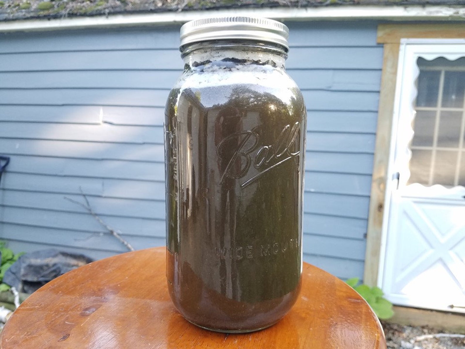 Alpaca Bean Compost Tea Etsy