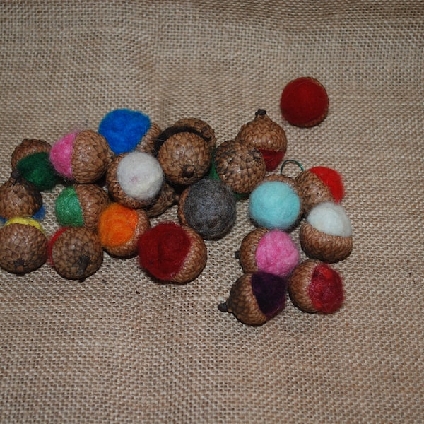 Acorn felting kit