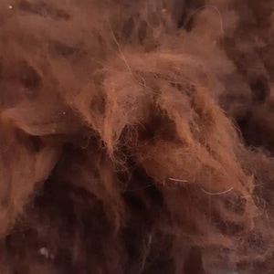 Alpaca fleece, spinning or felting, alpaca wool, brown alpaca, white alpaca