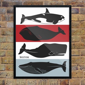 Boston Whales Print